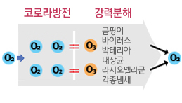 오존
